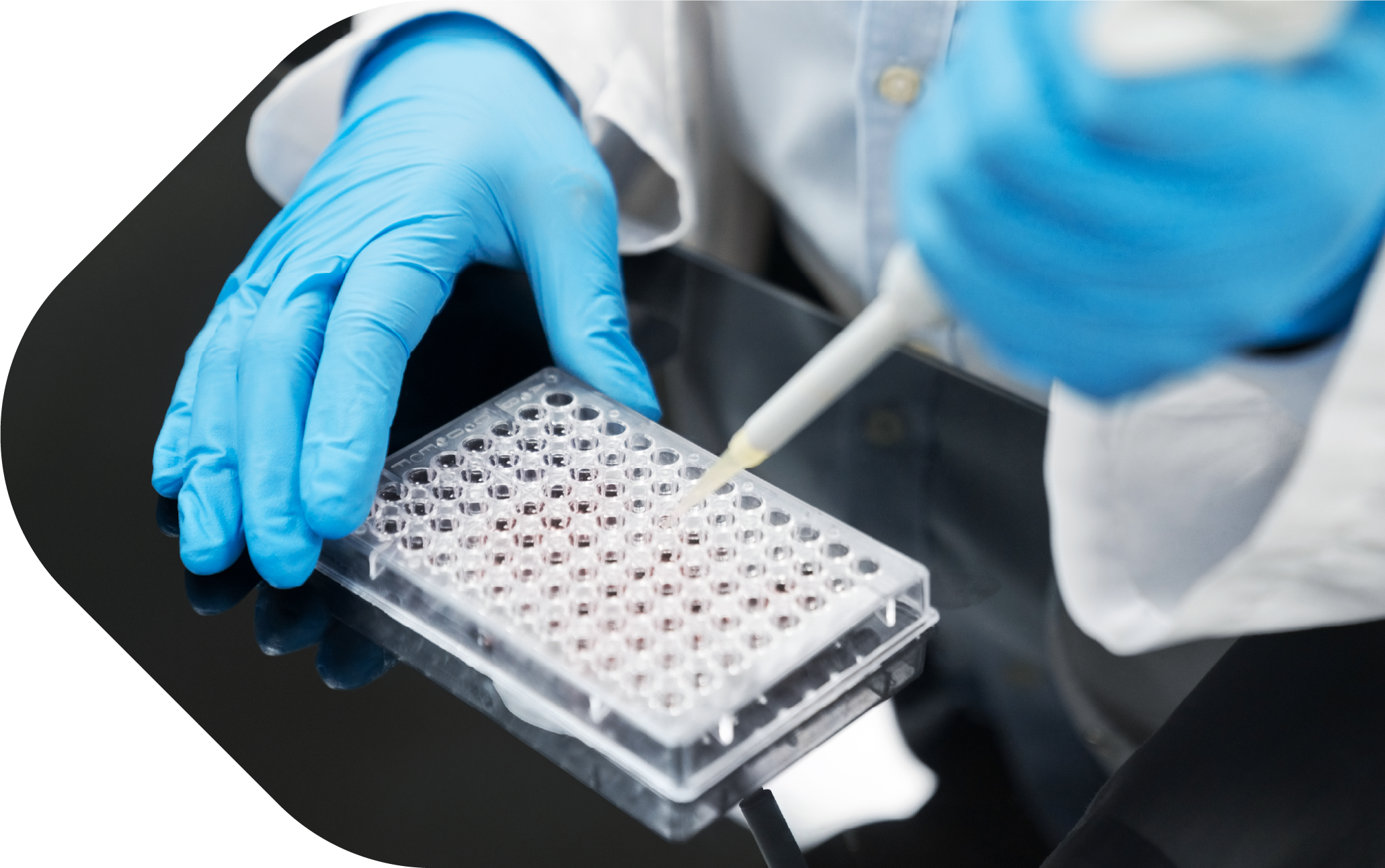 Close up of testing taking place in laboratory